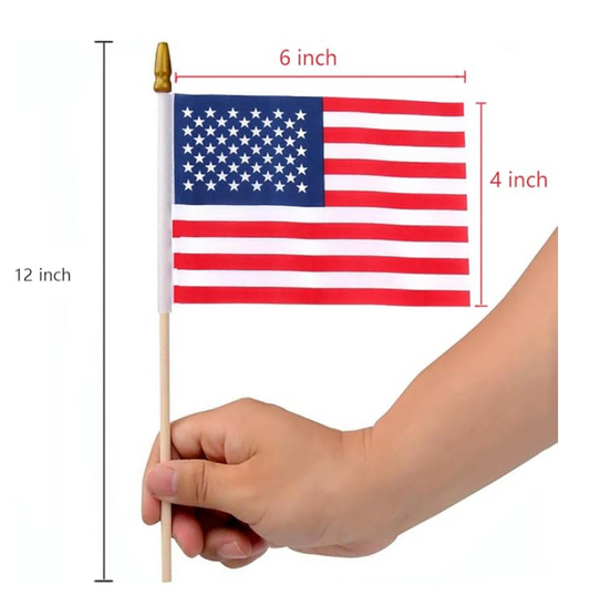 Mini American Flag